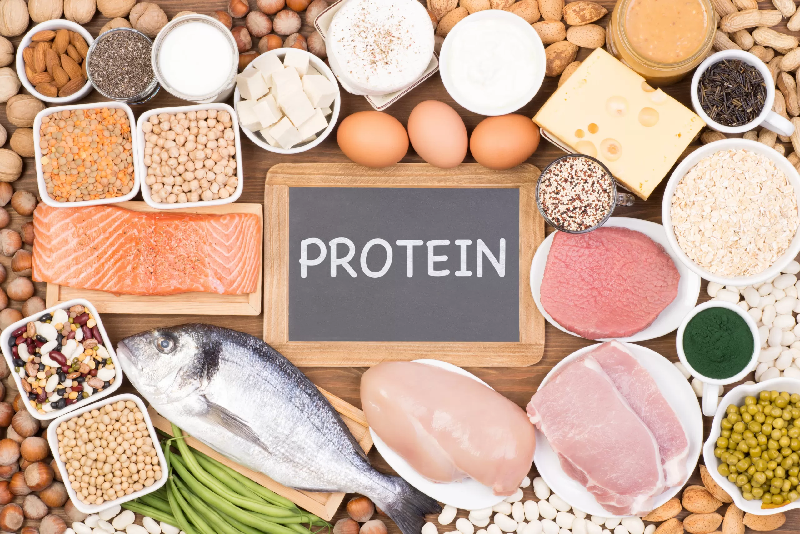 Protein / प्रोटीन: 